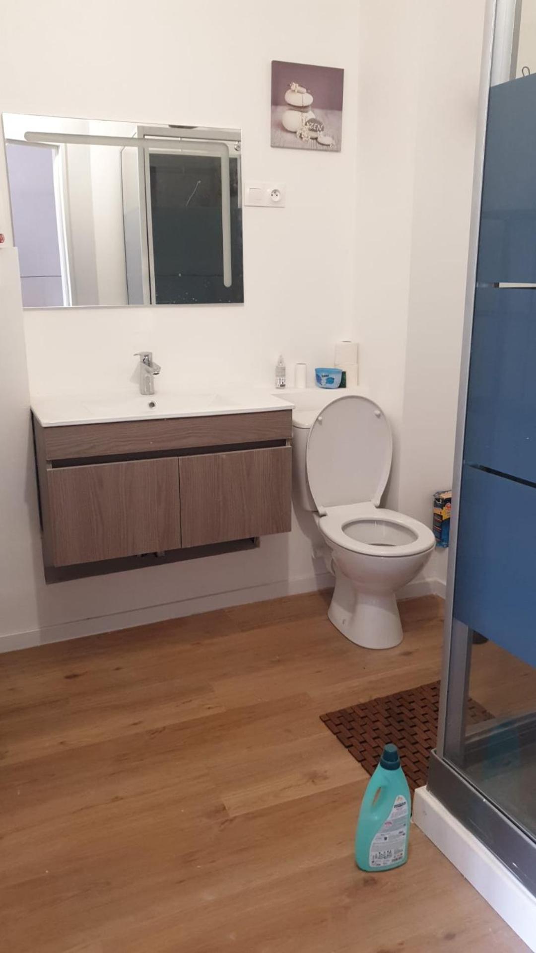Appartements Simples Et Fonctionnels パミエ エクステリア 写真